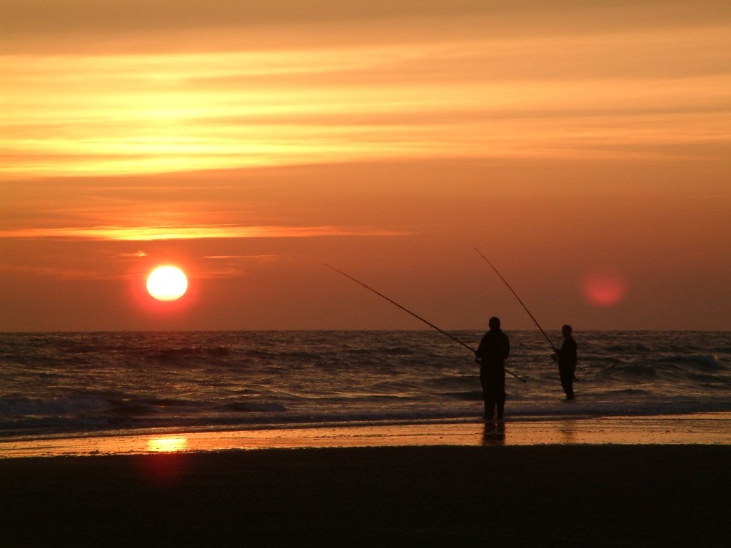 Click now to see this image full size.