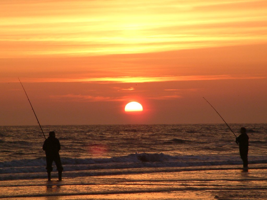 Click now to see this image full size.