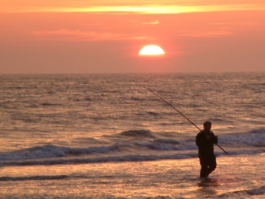 Click now to see this image full size.