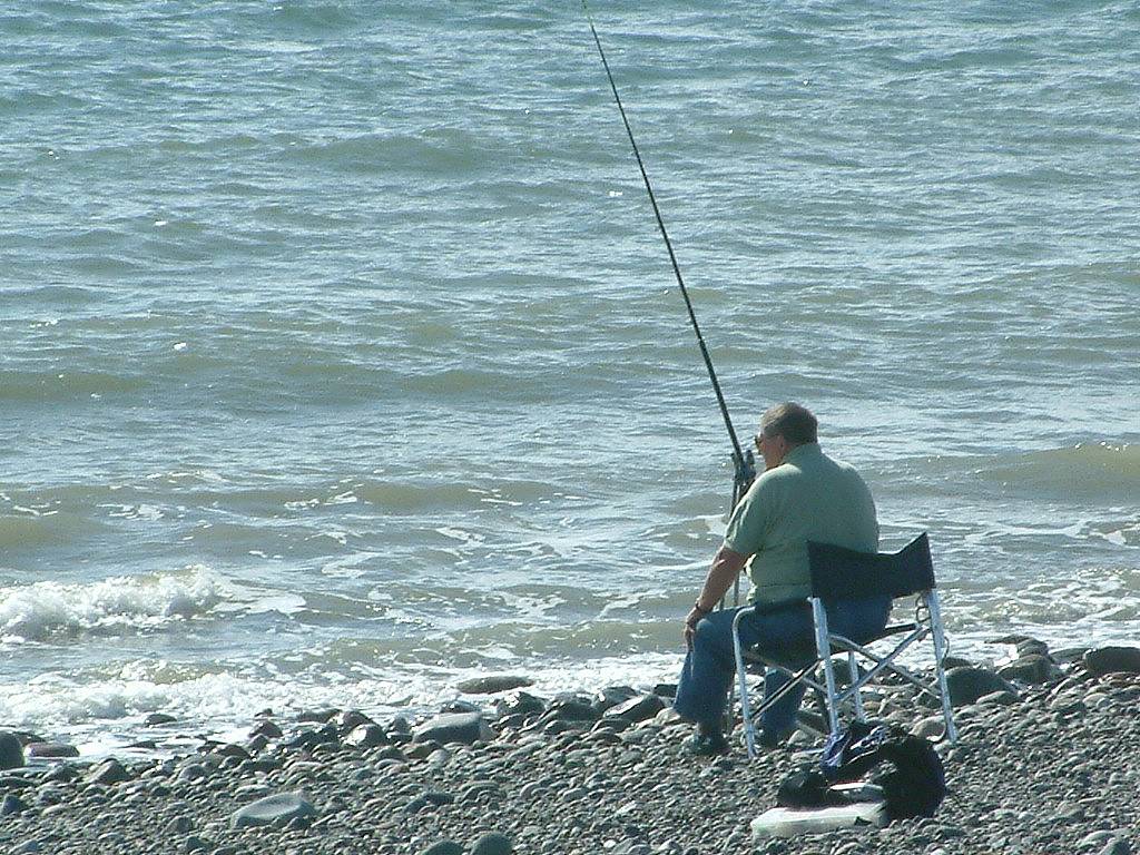 Click now to see this image full size.