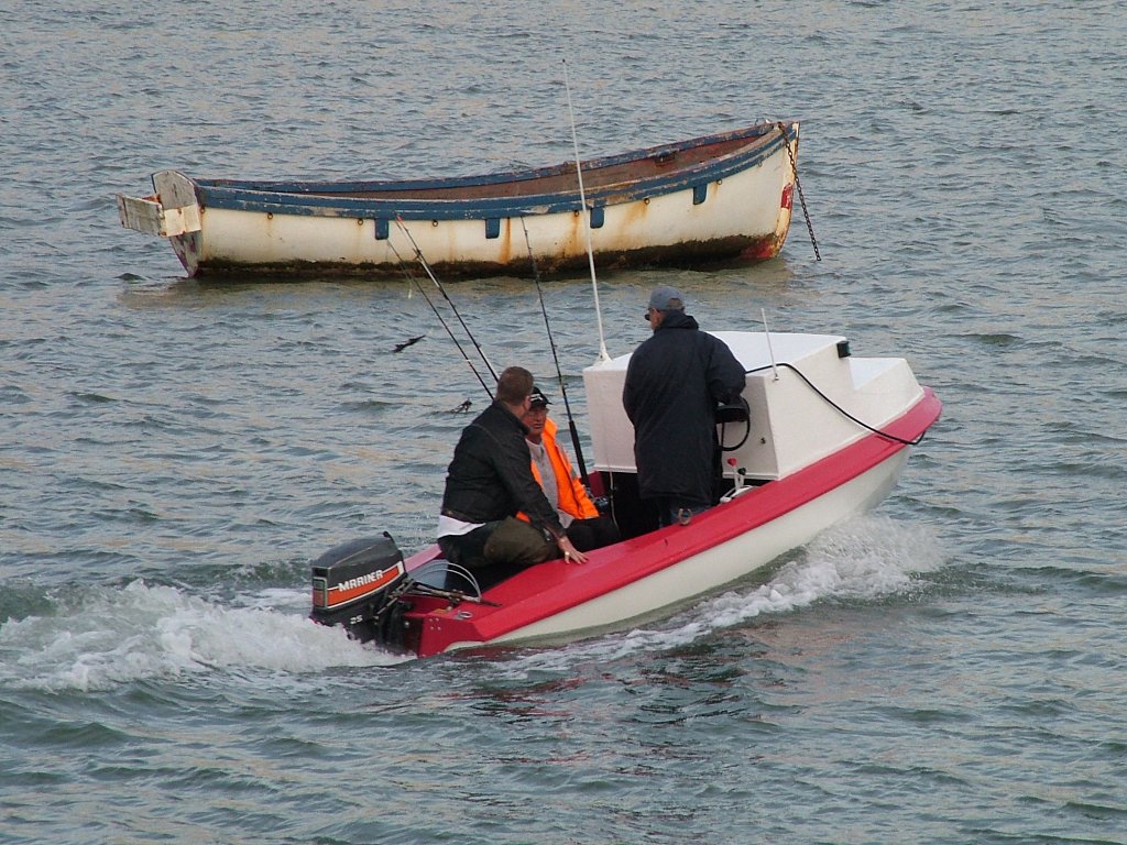 Click now to see this image full size.