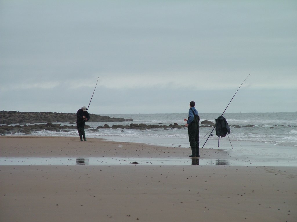 Click now to see this image full size.