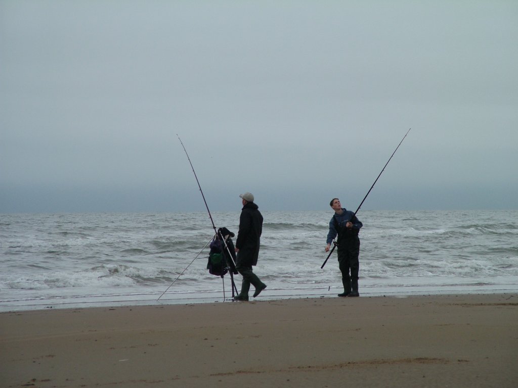 Click now to see this image full size.