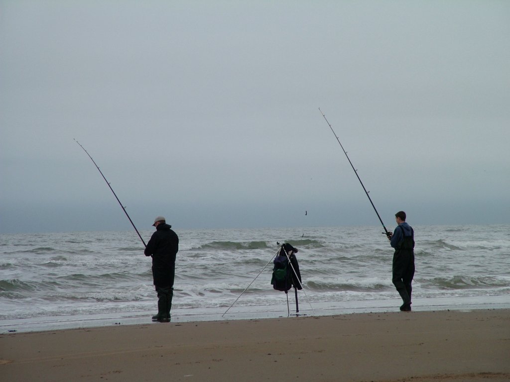 Click now to see this image full size.