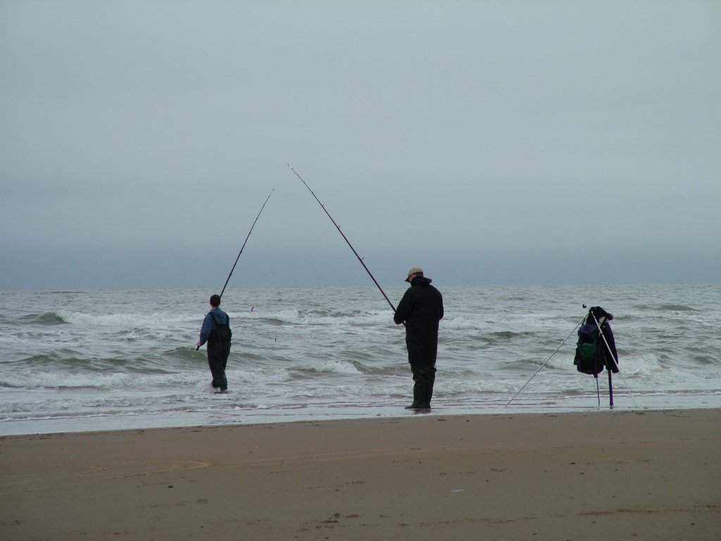 Click now to see this image full size.