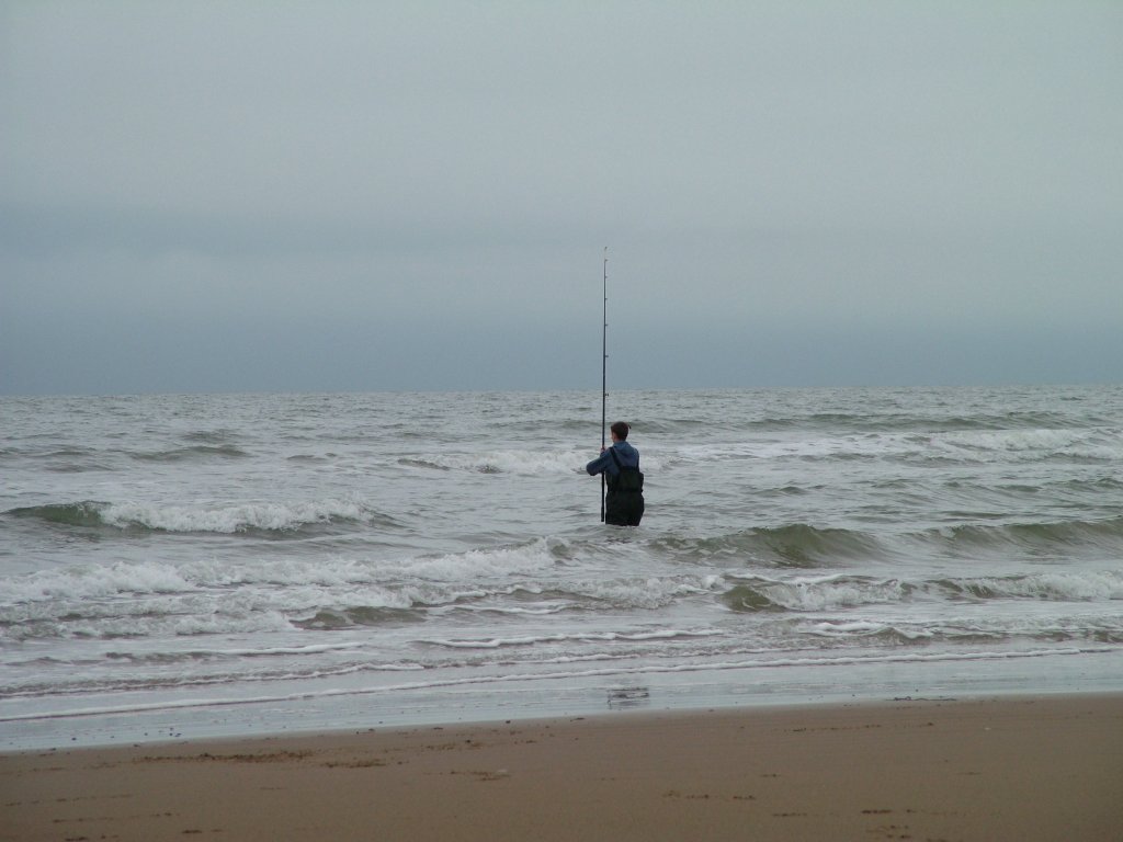 Click now to see this image full size.