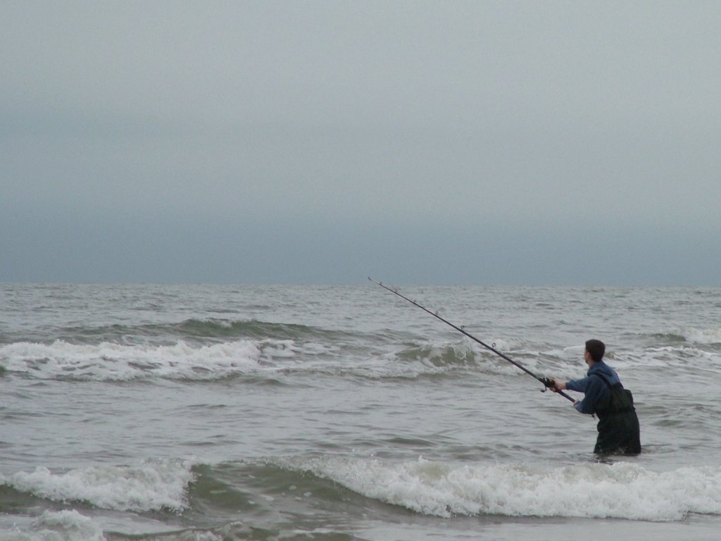 Click now to see this image full size.