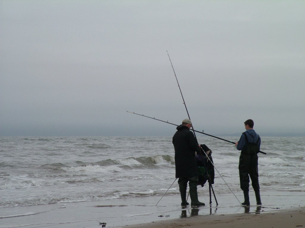 Click now to see this image full size.