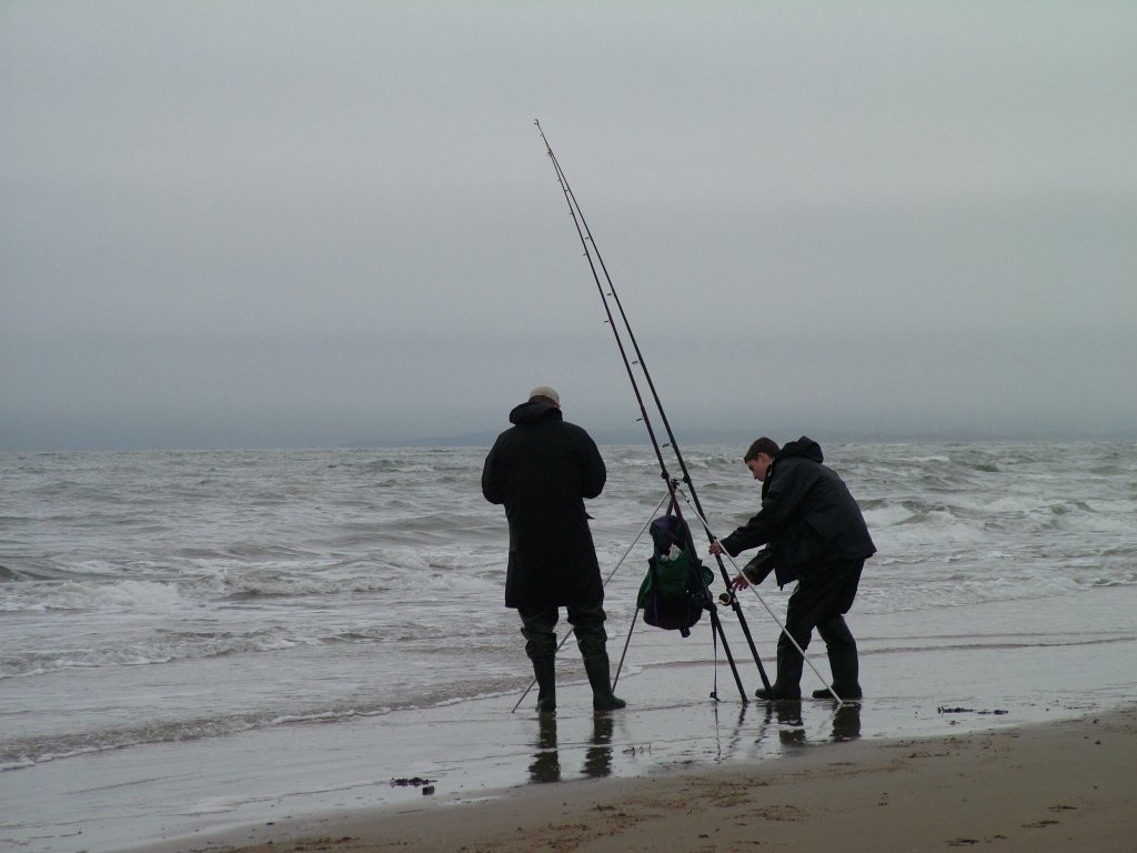 Click now to see this image full size.