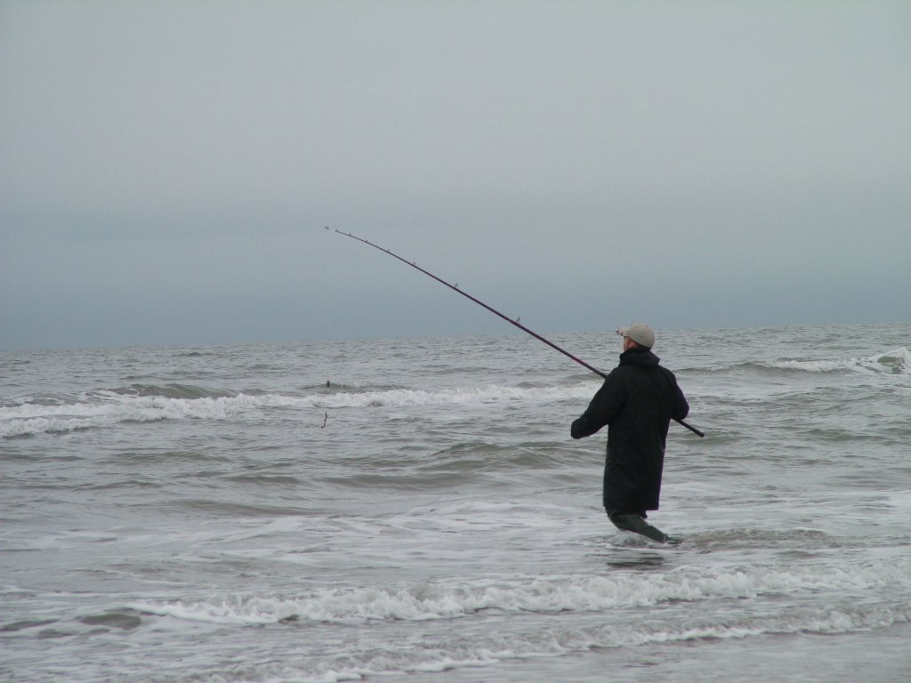 Click now to see this image full size.