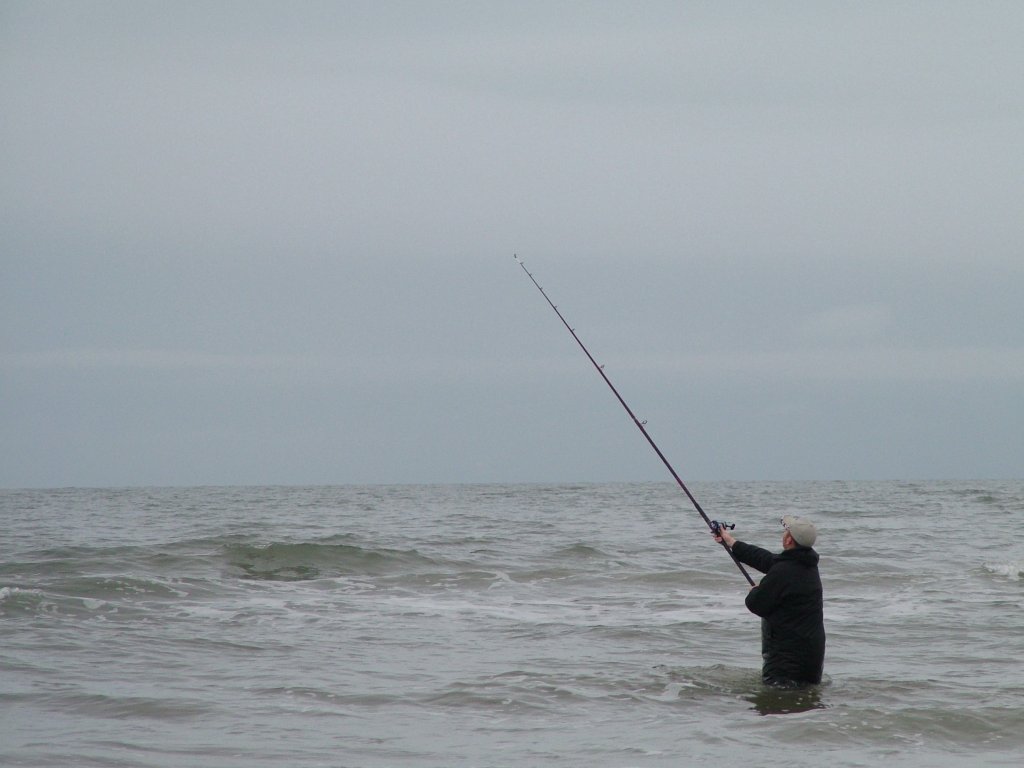 Click now to see this image full size.