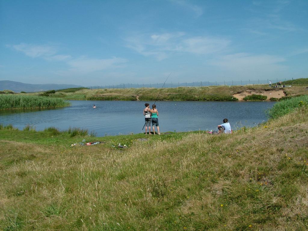 Click now to see this image full size.