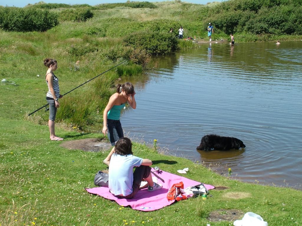 Click now to see this image full size.