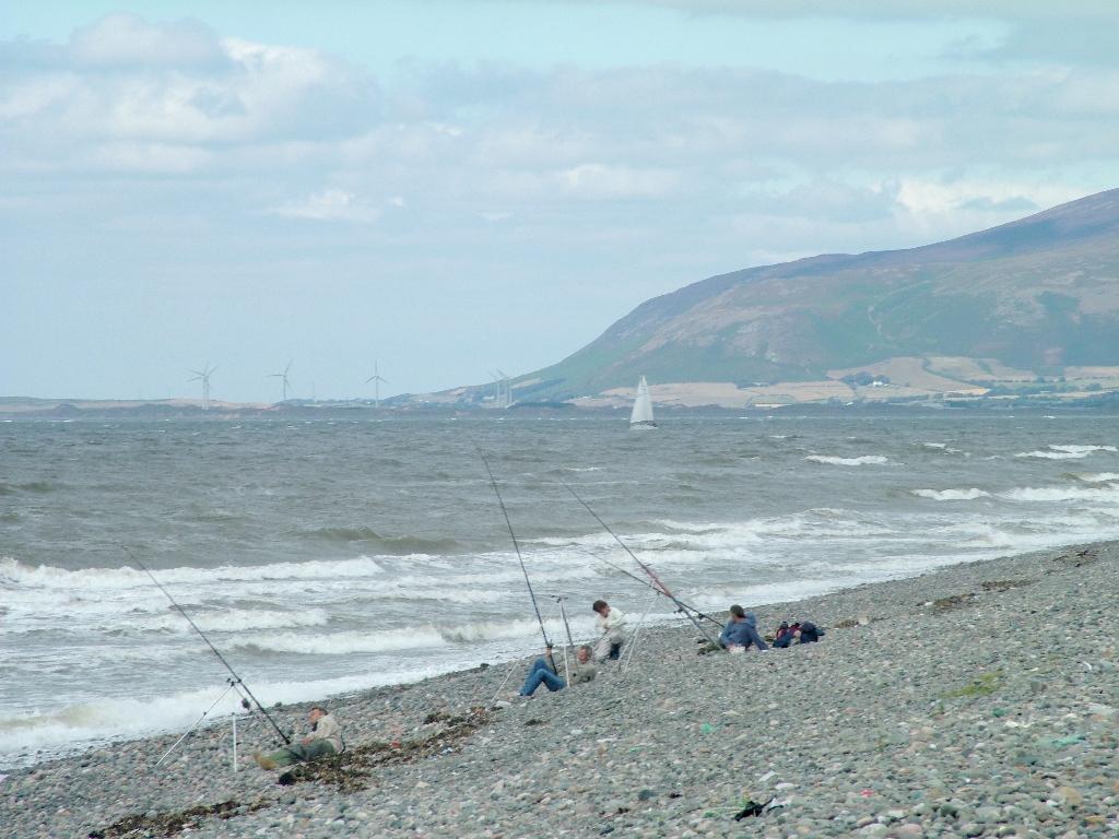 Click now to see this image full size.