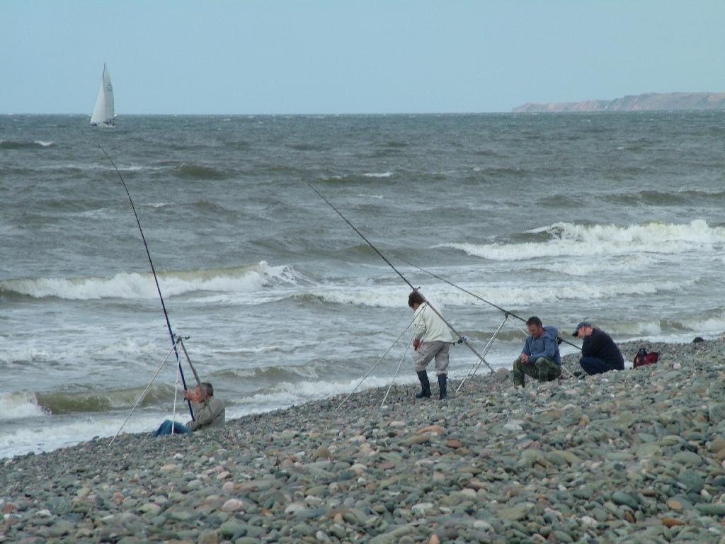 Click now to see this image full size.