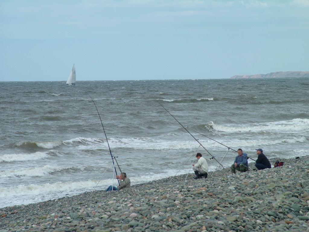 Click now to see this image full size.