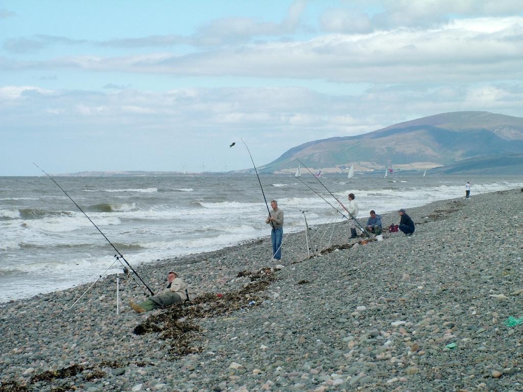 Click now to see this image full size.