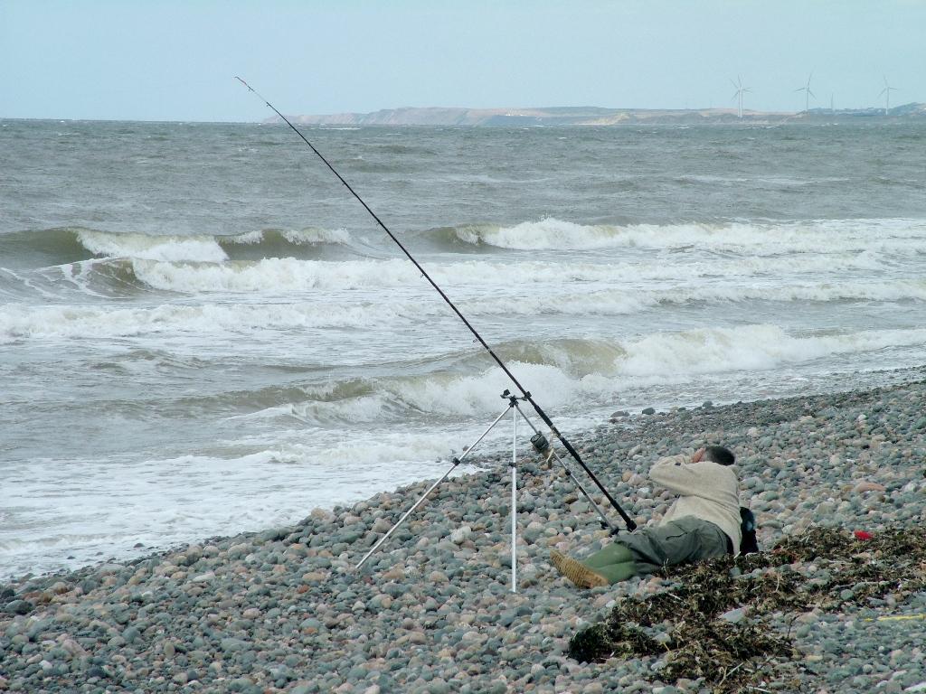 Click now to see this image full size.