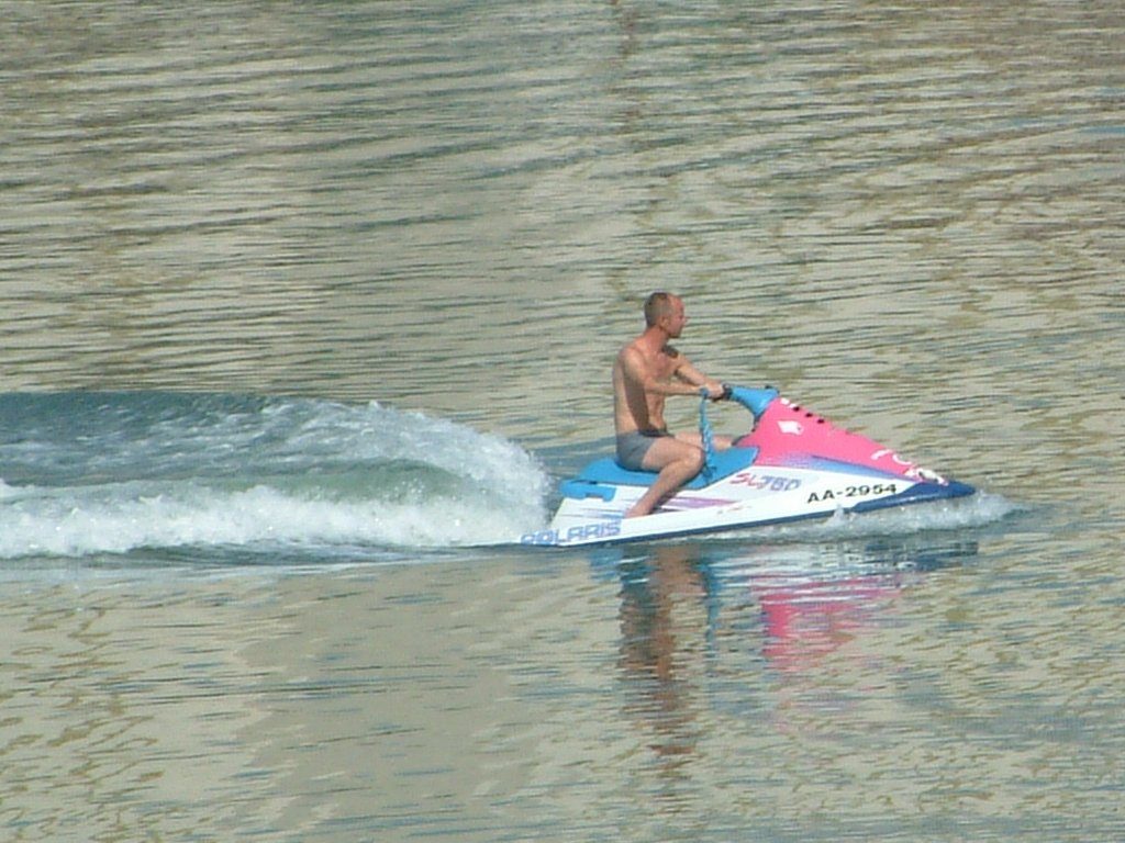 Click now to see this image full size.