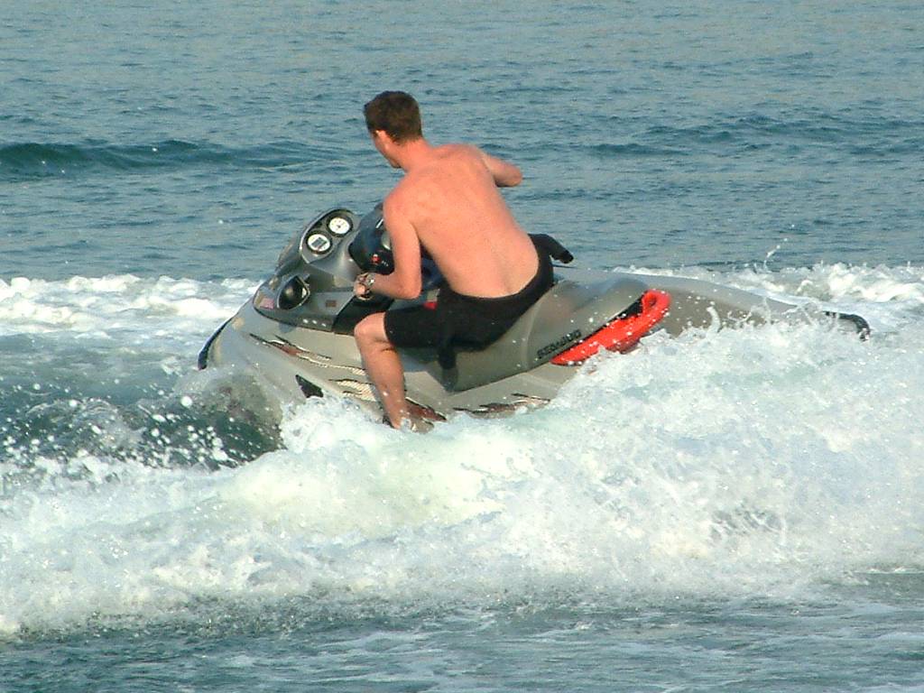 Click now to see this image full size.