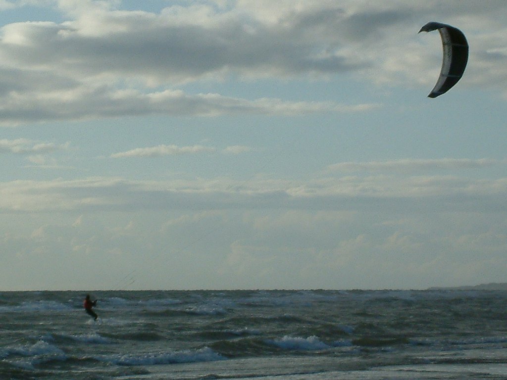 Click now to see this image full size.