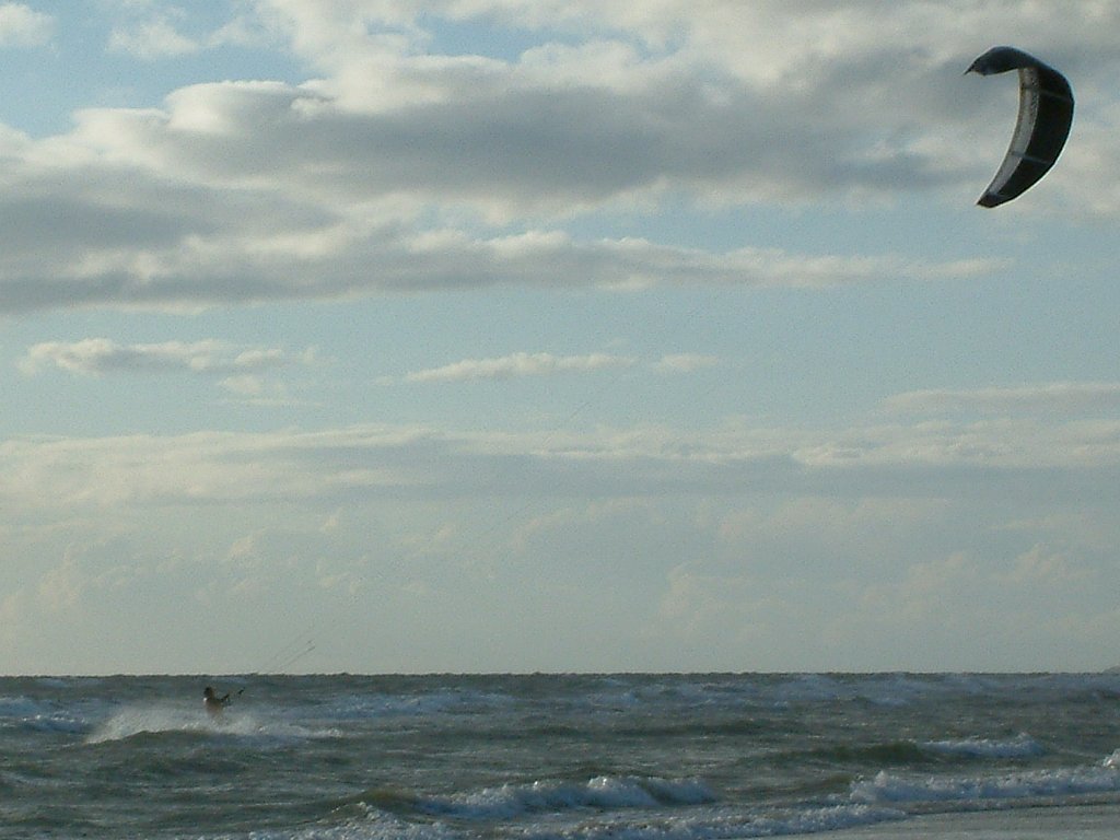 Click now to see this image full size.