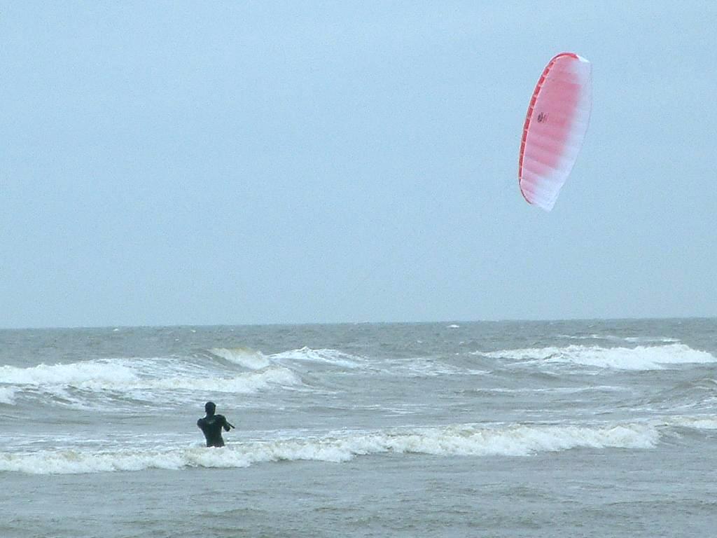 Click now to see this image full size.