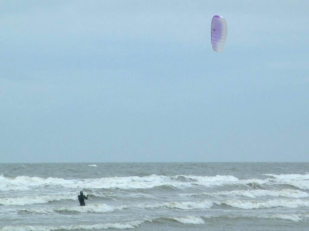 Click now to see this image full size.