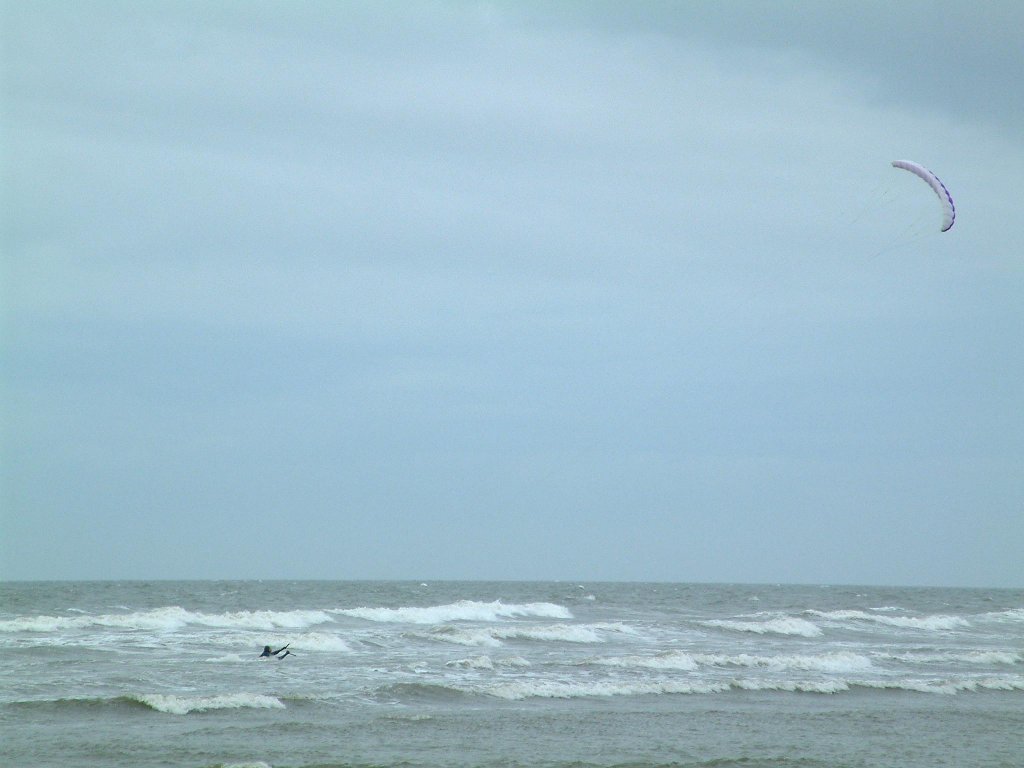 Click now to see this image full size.