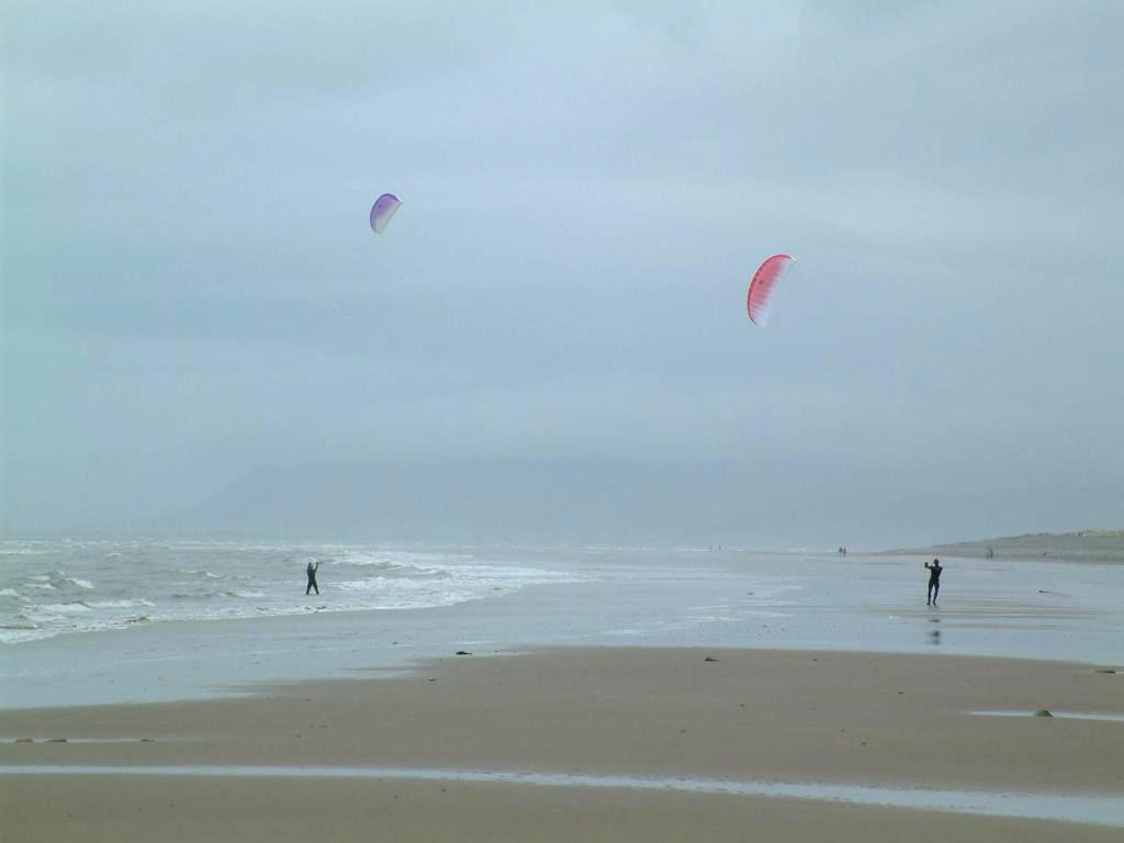 Click now to see this image full size.