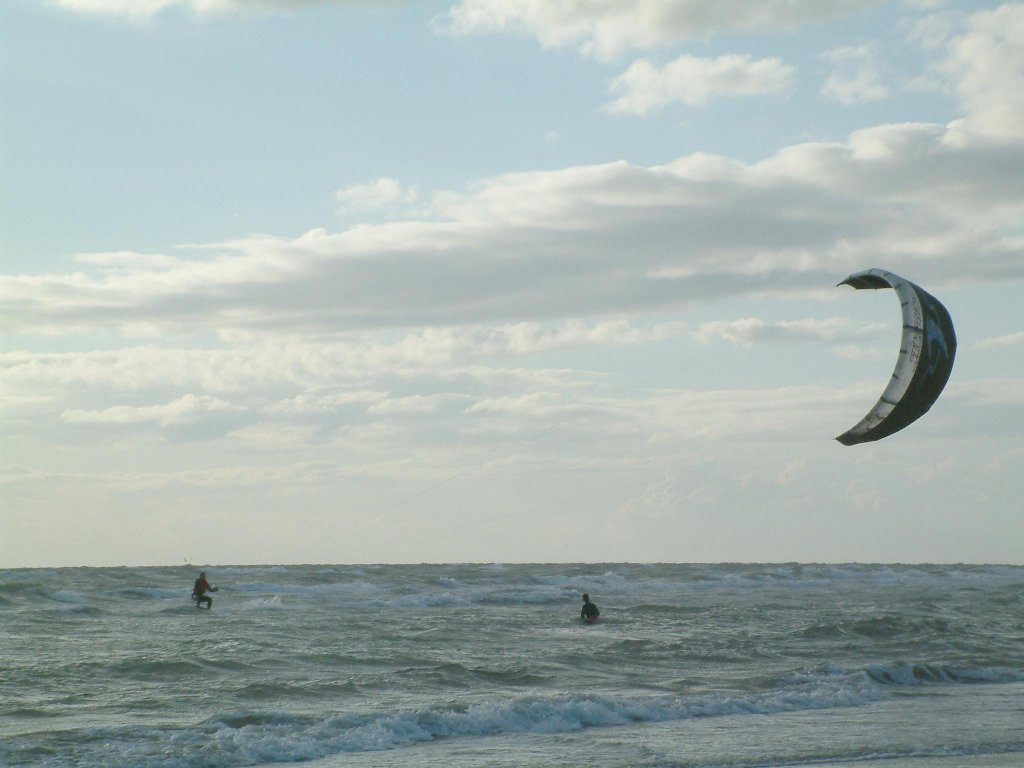 Click now to see this image full size.