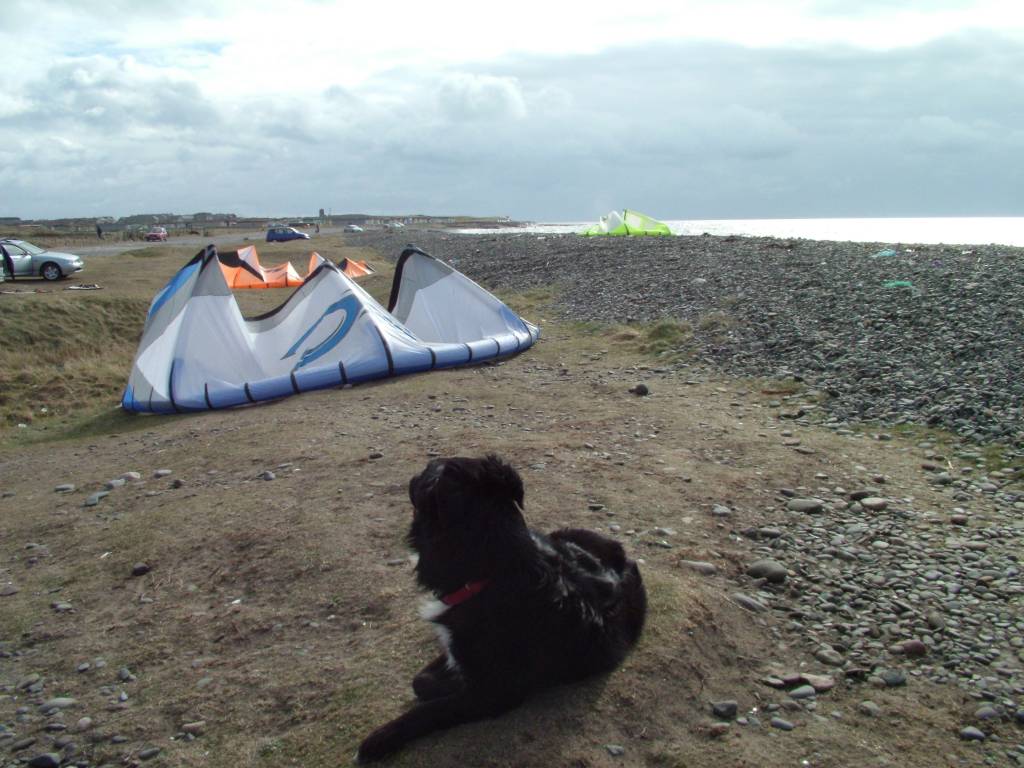 Click now to see this image full size.