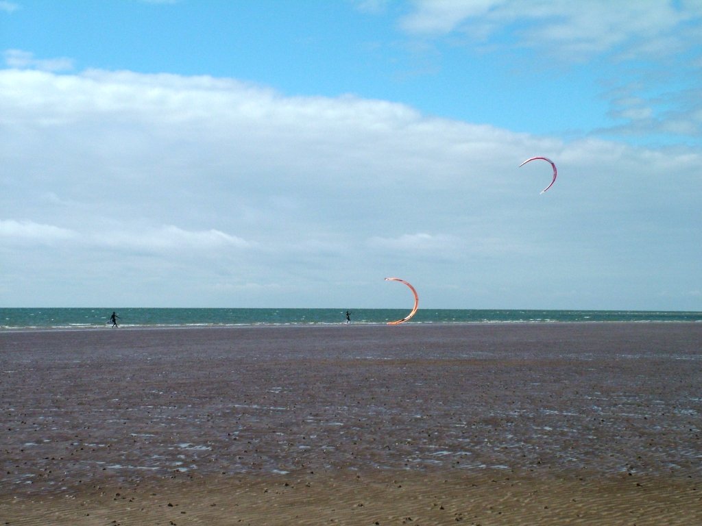 Click now to see this image full size.