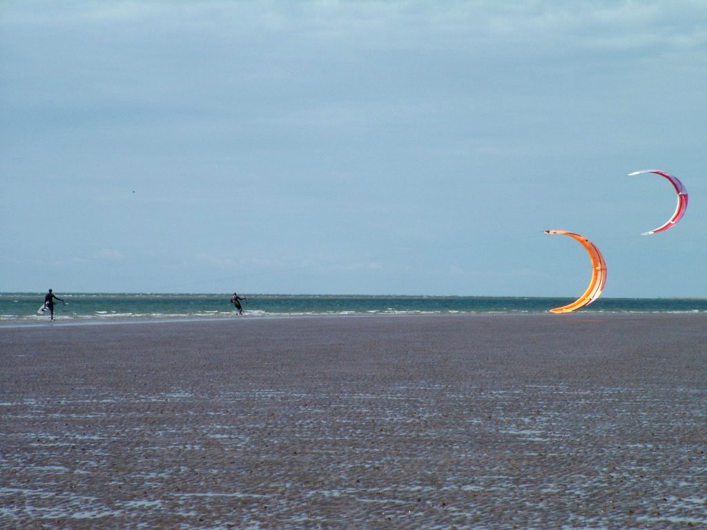 Click now to see this image full size.