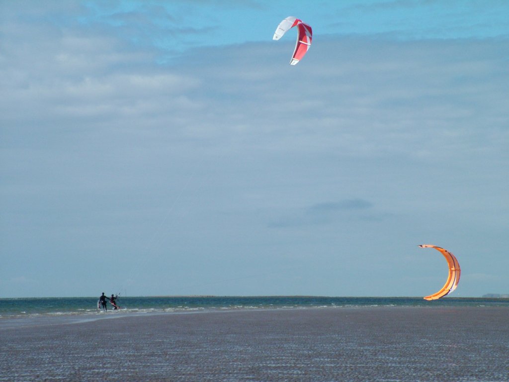 Click now to see this image full size.