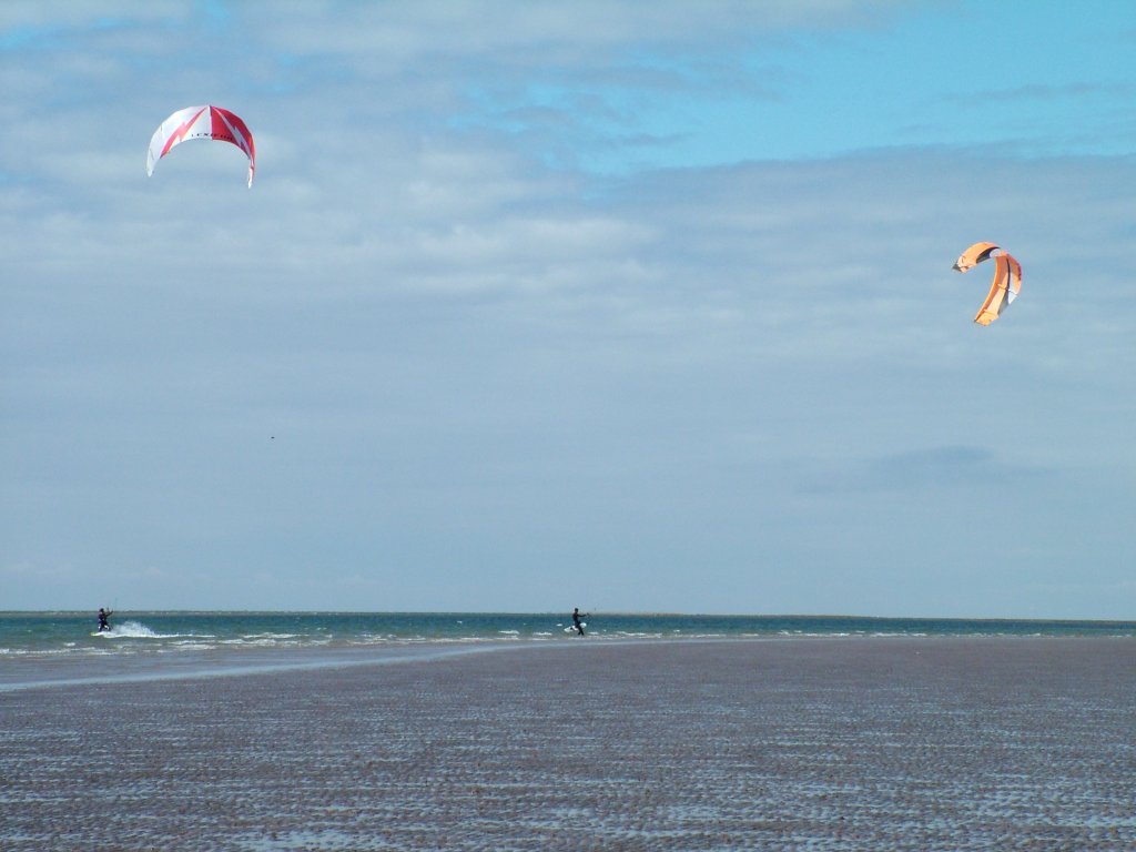 Click now to see this image full size.