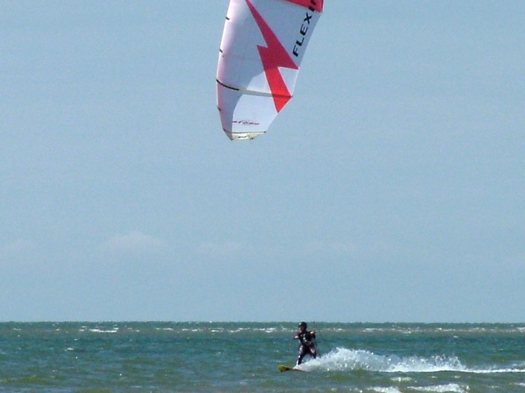 Click now to see this image full size.