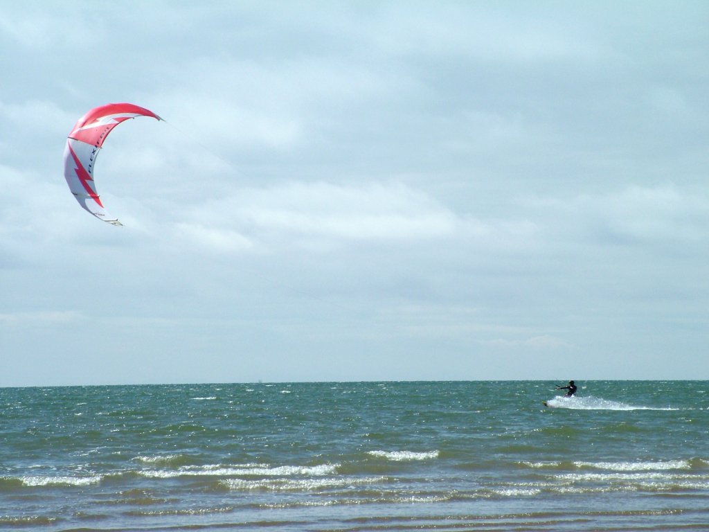 Click now to see this image full size.