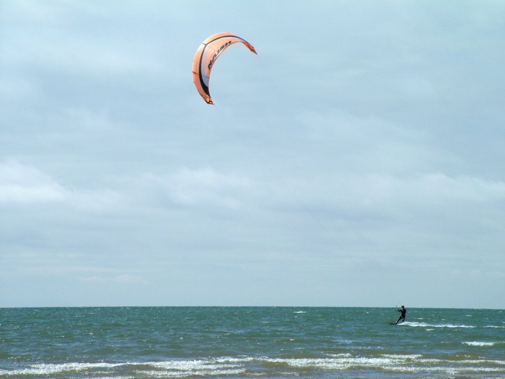 Click now to see this image full size.