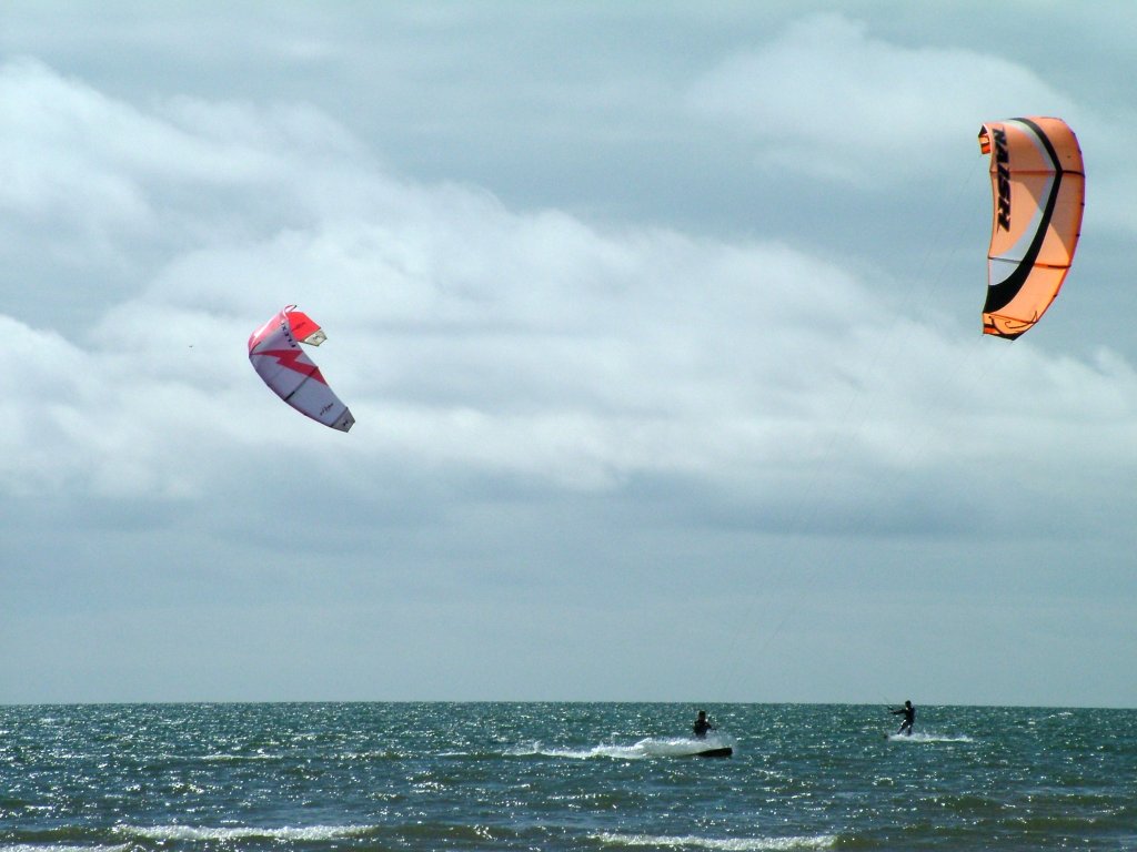 Click now to see this image full size.