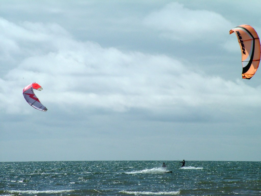 Click now to see this image full size.