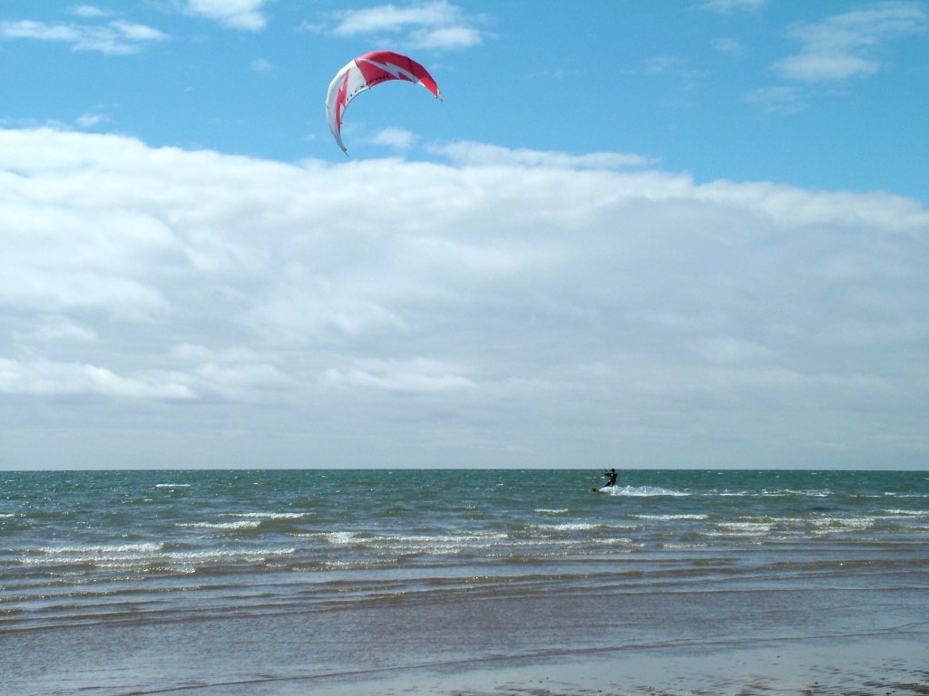 Click now to see this image full size.