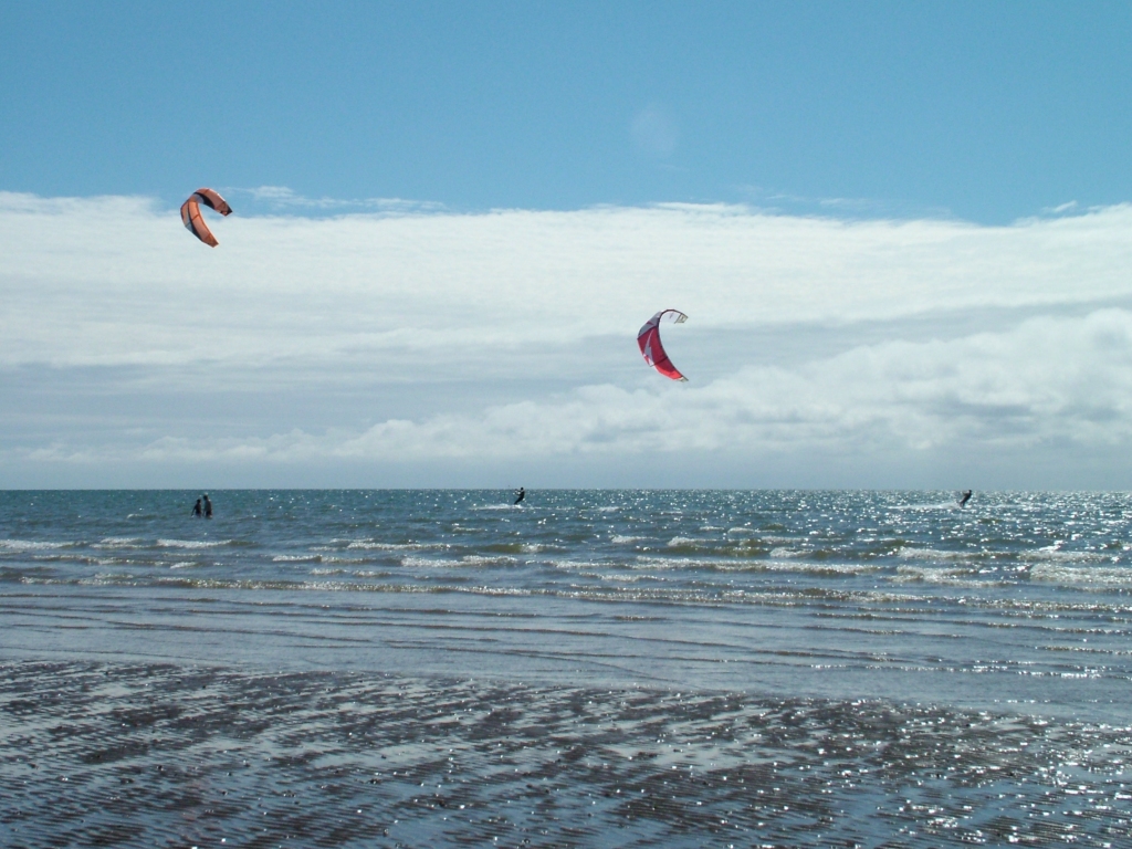 Click now to see this image full size.