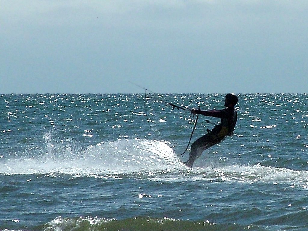 Click now to see this image full size.