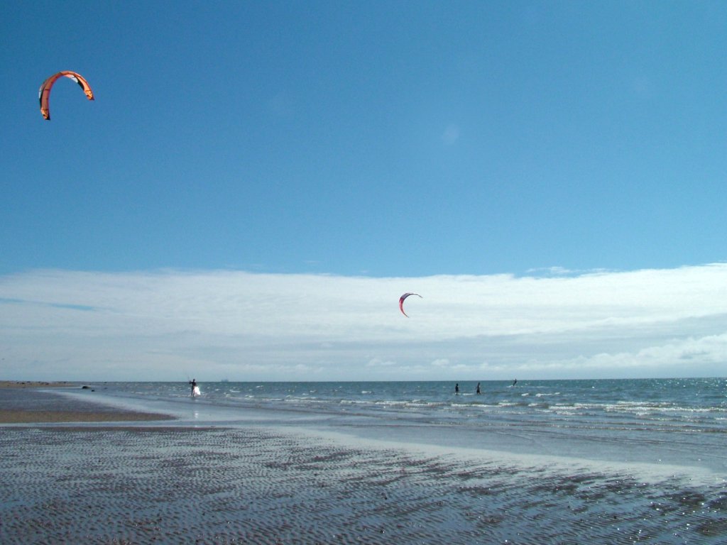 Click now to see this image full size.