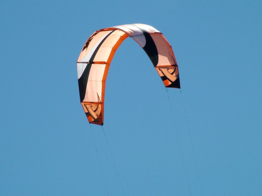 Click now to see this image full size.