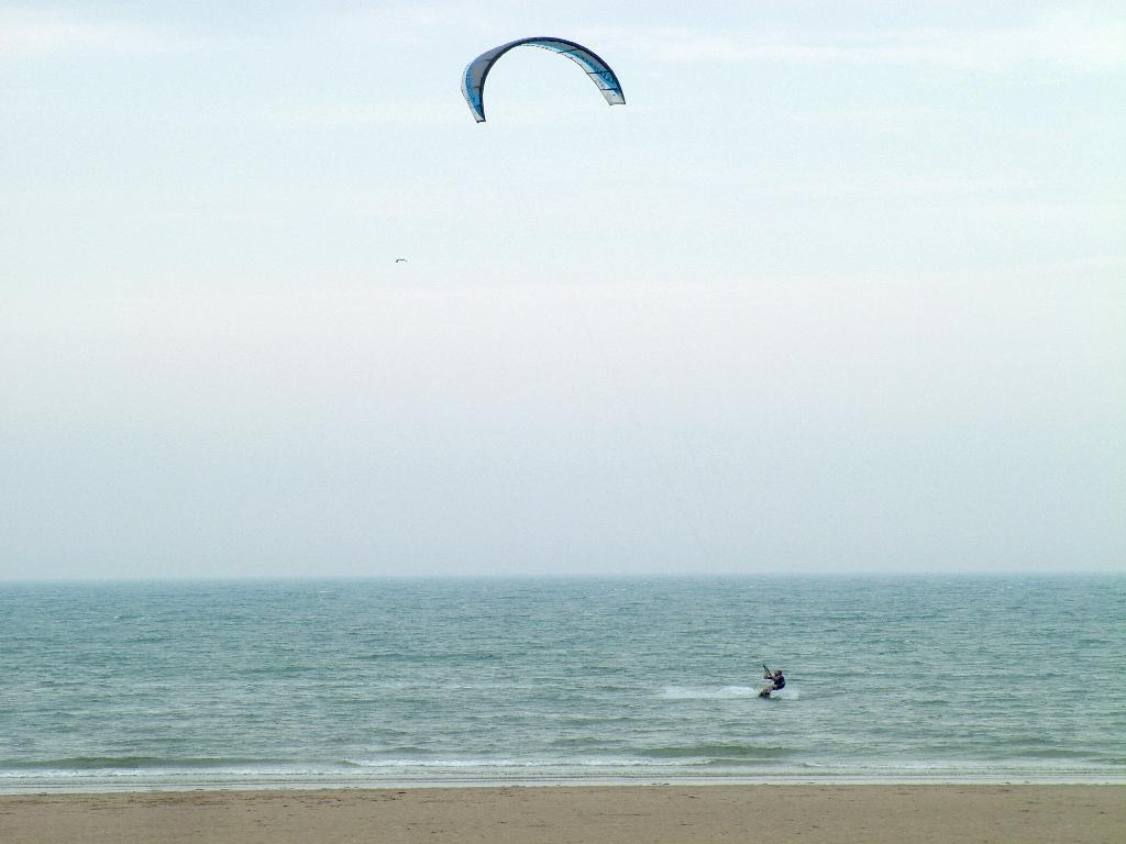 Click now to see this image full size.