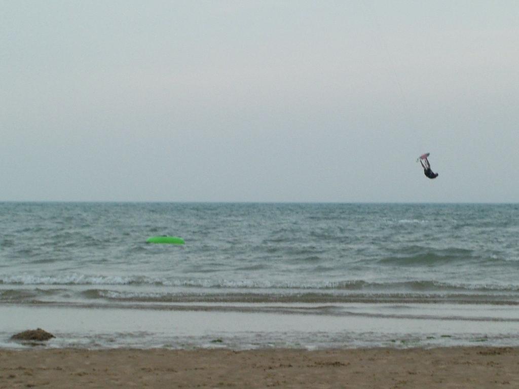 Click now to see this image full size.