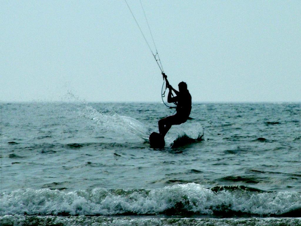 Click now to see this image full size.