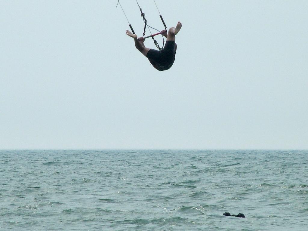 Click now to see this image full size.